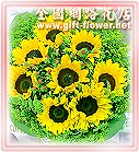 wa1-a14朝氣蓬勃網路花店詳細內容情人節訂花,訂花買花